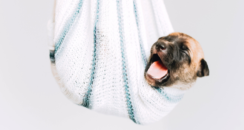 Snoring, causes and treatments