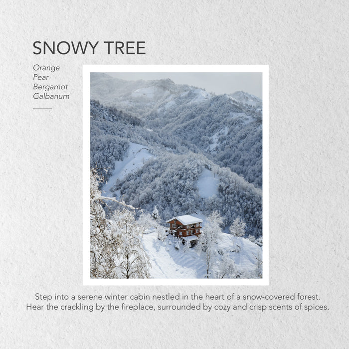 Nature Diffuser Gift Set Snowy Tree 120Ml | FR714-4