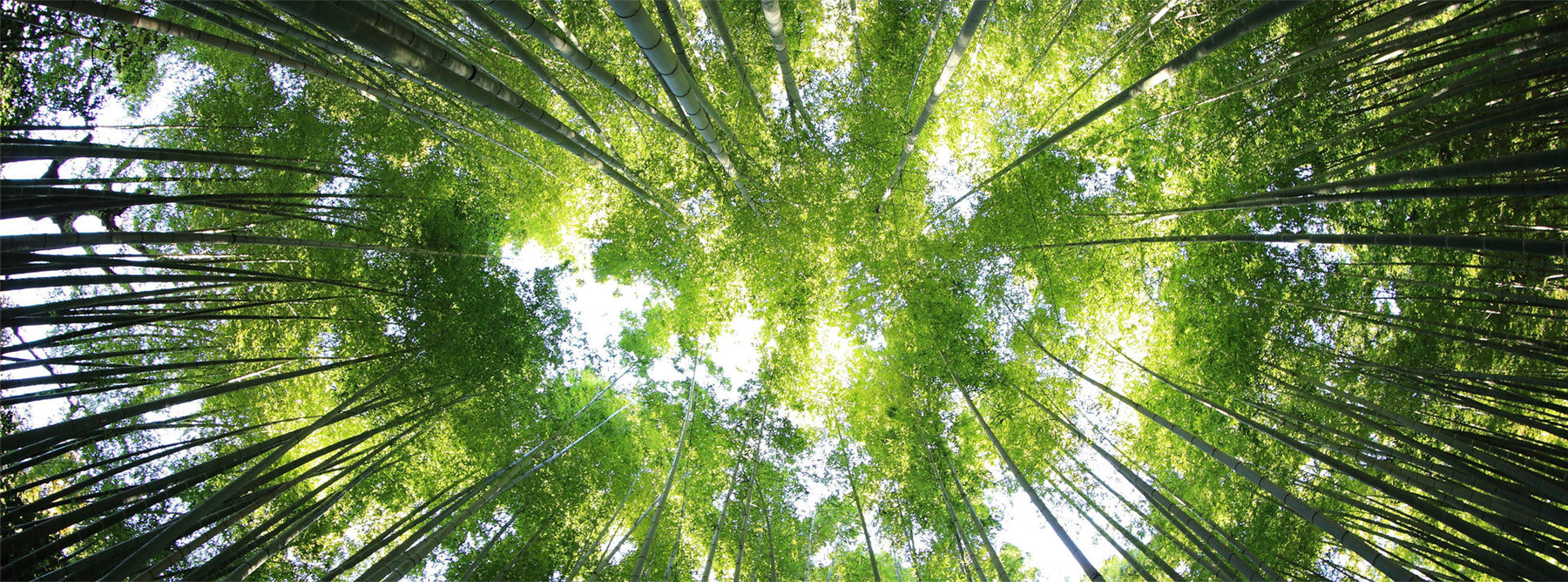 Sleep Naturally, Choose Epitex Bamboo