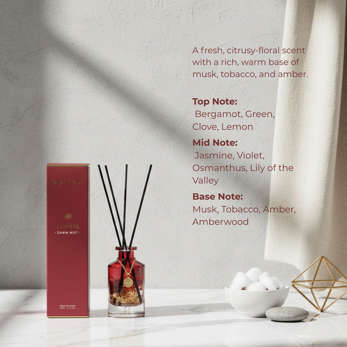 (New Year Promo) Lumiere Diffuser 100ML