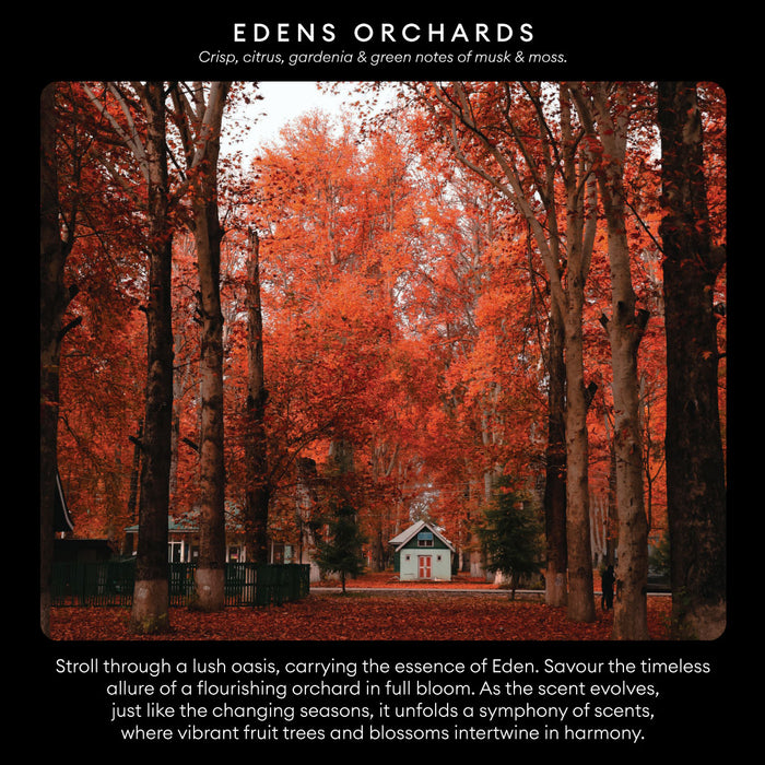 Hotel Collection Eden Orchards Diffuser 150Ml | HC-DF-018