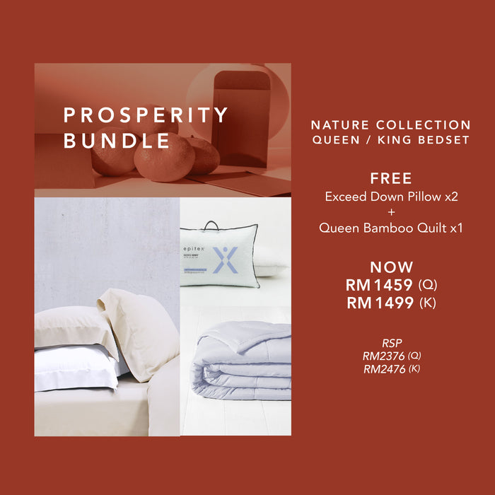 (CNY Bundle) Nature Collection Bamboo Queen Bedset (Bedset + Pillows + Blanket)
