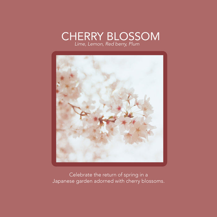 Haute Diffuser Gift Set Cherry Blossom 100Ml | FR715-2