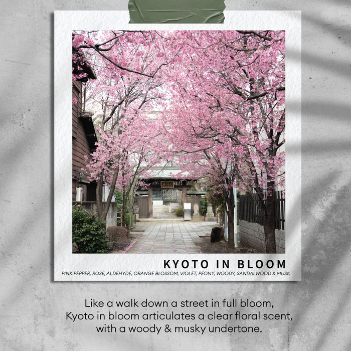 Premium Soy Wax Candle Kyoto In Bloom 150G | FR709-5