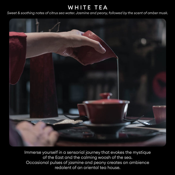 Hotel Collection White Tea Diffuser 150Ml | HC-DF-019