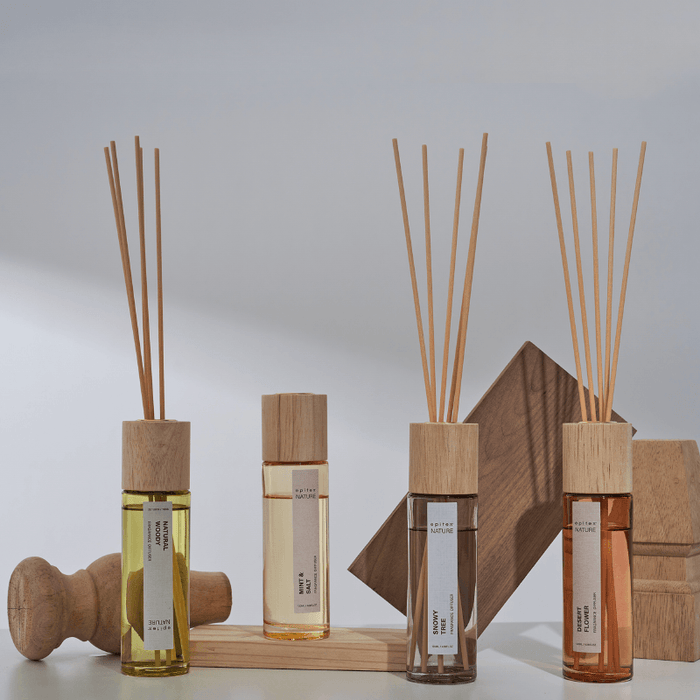 Nature Diffuser Gift Set Salt & Mint 120Ml | FR714-2